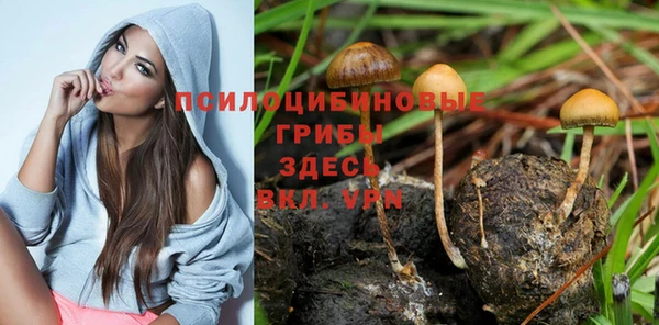 молекула духа Красноперекопск