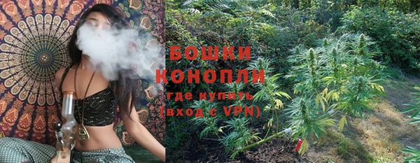 молекула духа Красноперекопск